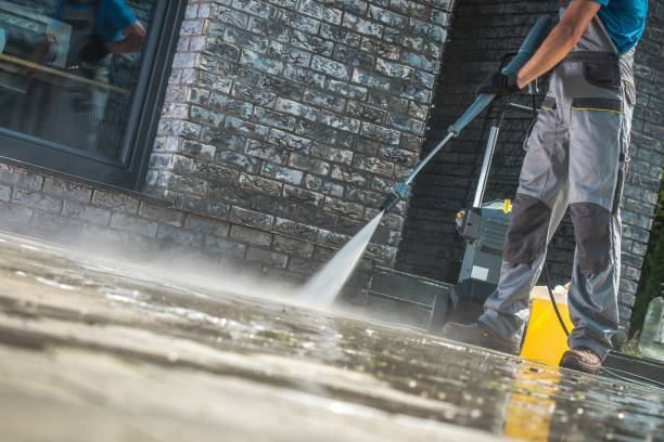 Best Roof Washing  in Parkersburg, WV